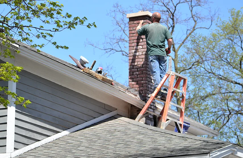Chimney & Fireplace Inspections Services in Savage, MN